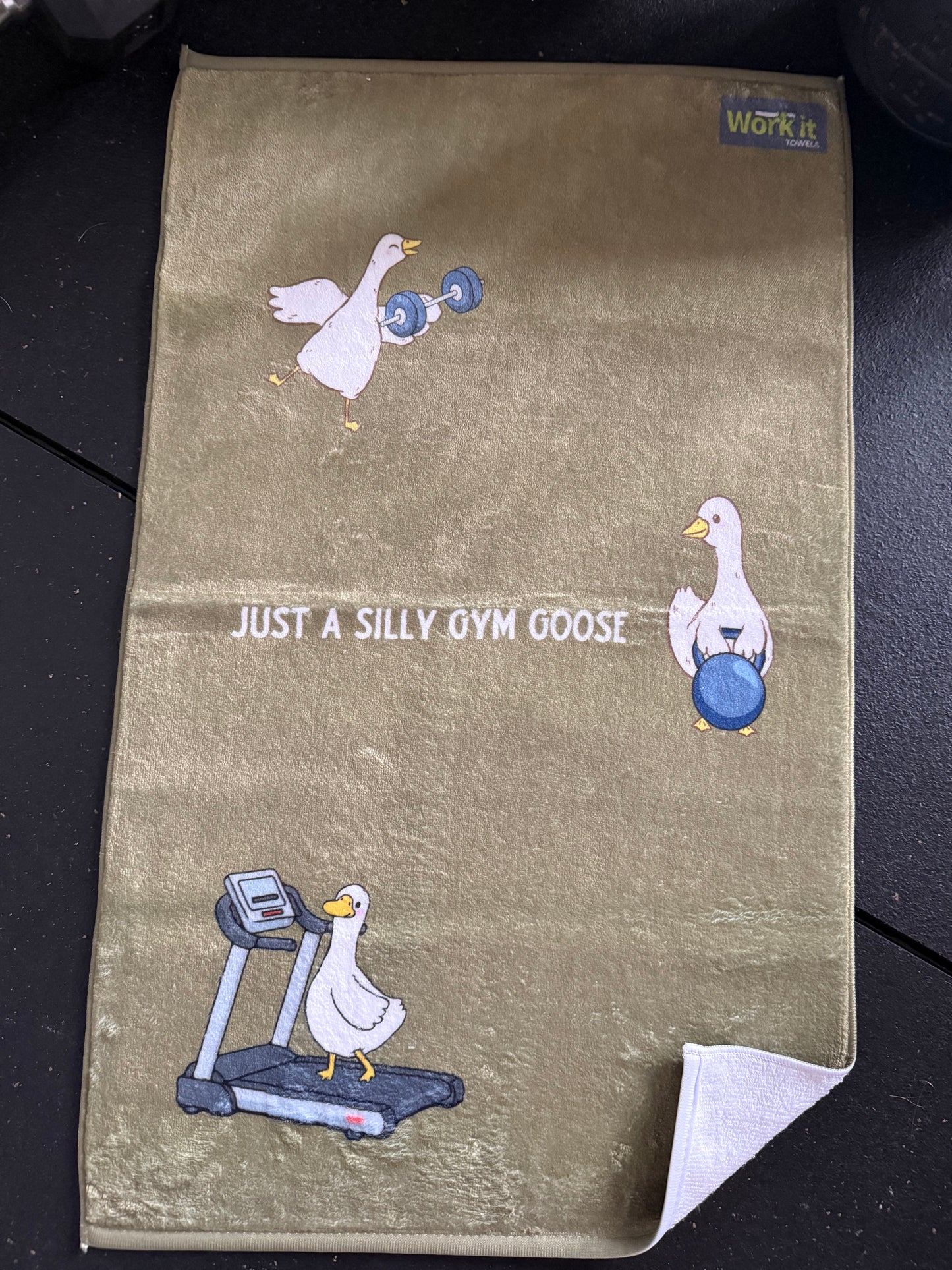 Book with cartoon goose illustrations and text on a dark surface
